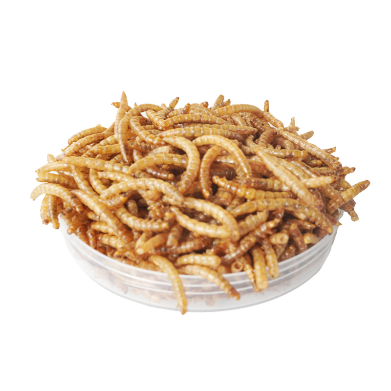 Snacks de Alta Proteína para H - Food Snacks High In Protein avaliação e preço
